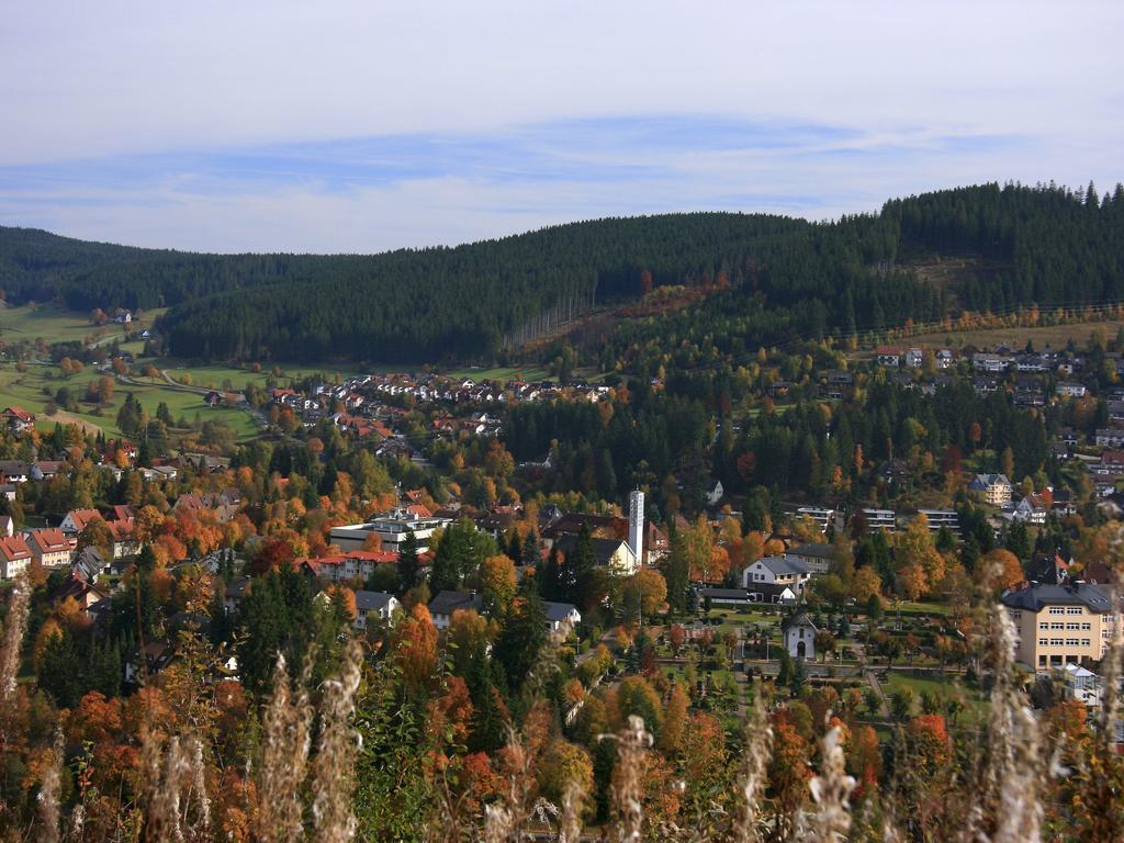 Ferienwohnung Am Eisweiher Titisee-Neustadt Dış mekan fotoğraf
