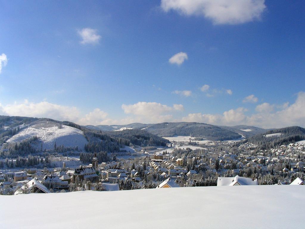 Ferienwohnung Am Eisweiher Titisee-Neustadt Dış mekan fotoğraf