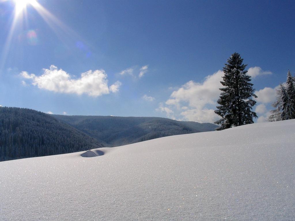 Ferienwohnung Am Eisweiher Titisee-Neustadt Dış mekan fotoğraf